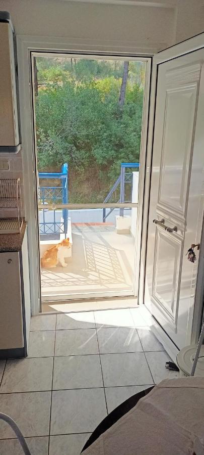 Siviri Sea & Forest-Cozy Apartment With Garden & Nature Views Extérieur photo
