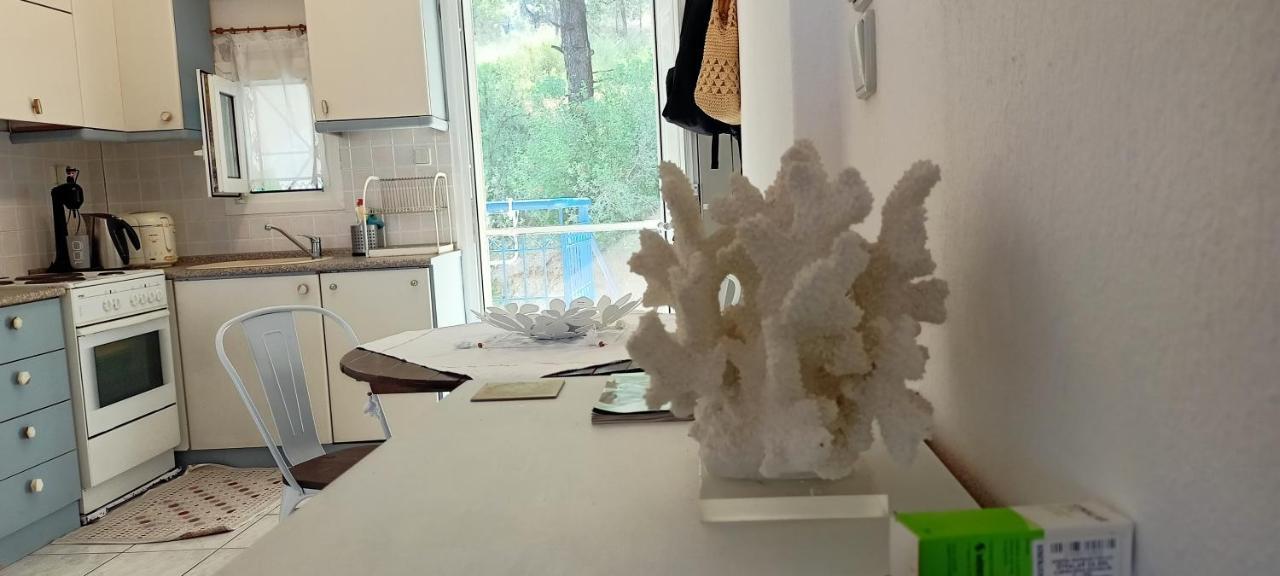 Siviri Sea & Forest-Cozy Apartment With Garden & Nature Views Extérieur photo